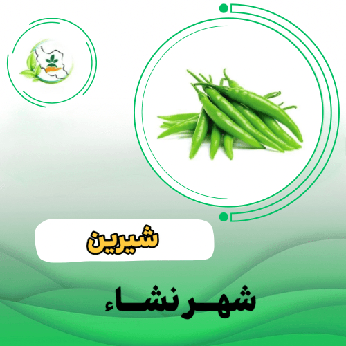 قلمي پویا