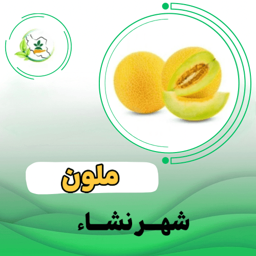 آریانا