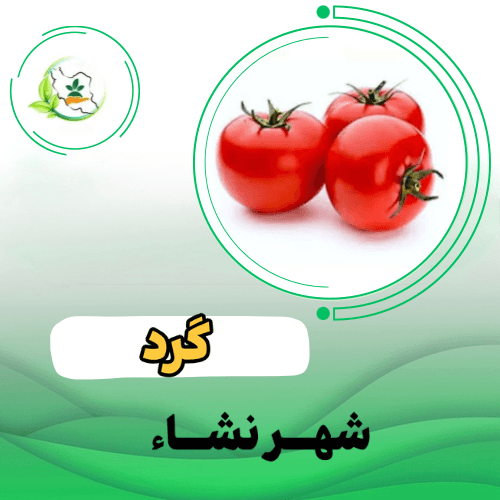 گوجه فرنگي   فلات 111
