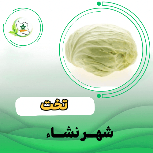 کلم پيچ  سفيد - گرین کورنت