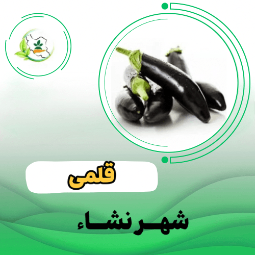 کلاش کشیده قلمی