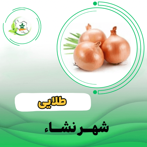 زرد روز بلند