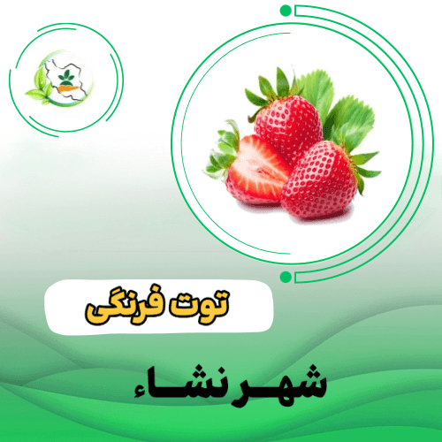 آلبیون