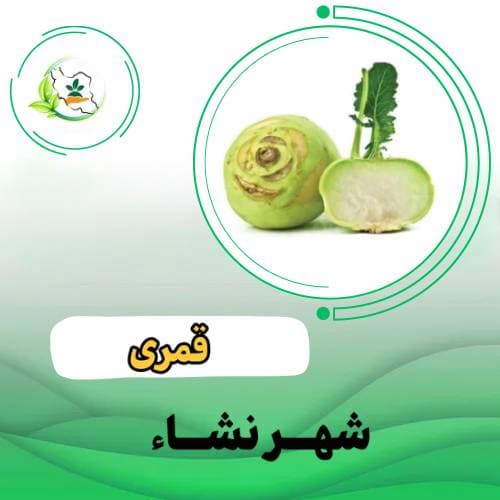 کلم پيچ  قمری