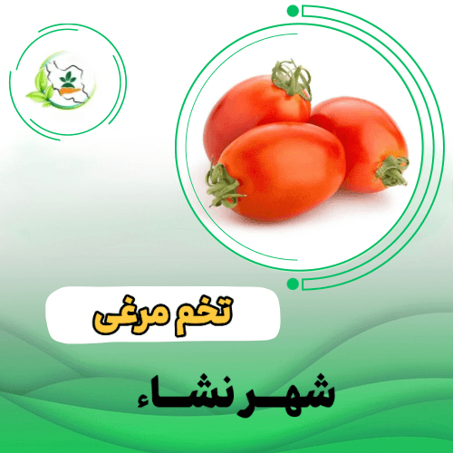 گوجه فرنگي  باراکا