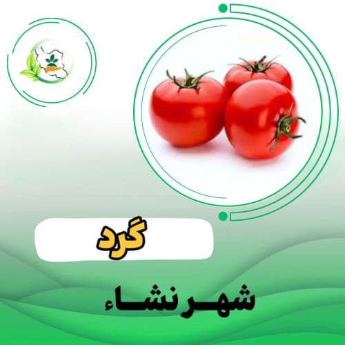 گوجه فرنگي   ارمغان