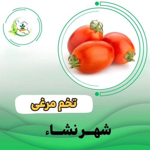 گوجه فرنگي ماریانا