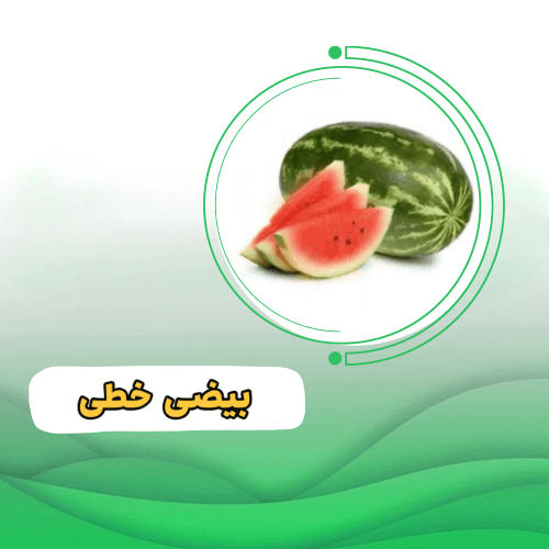 هندوانه سینور