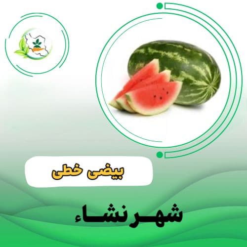 هندوانه هولار