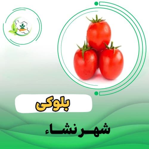 گوجه فرنگي-ادونس هیبرید